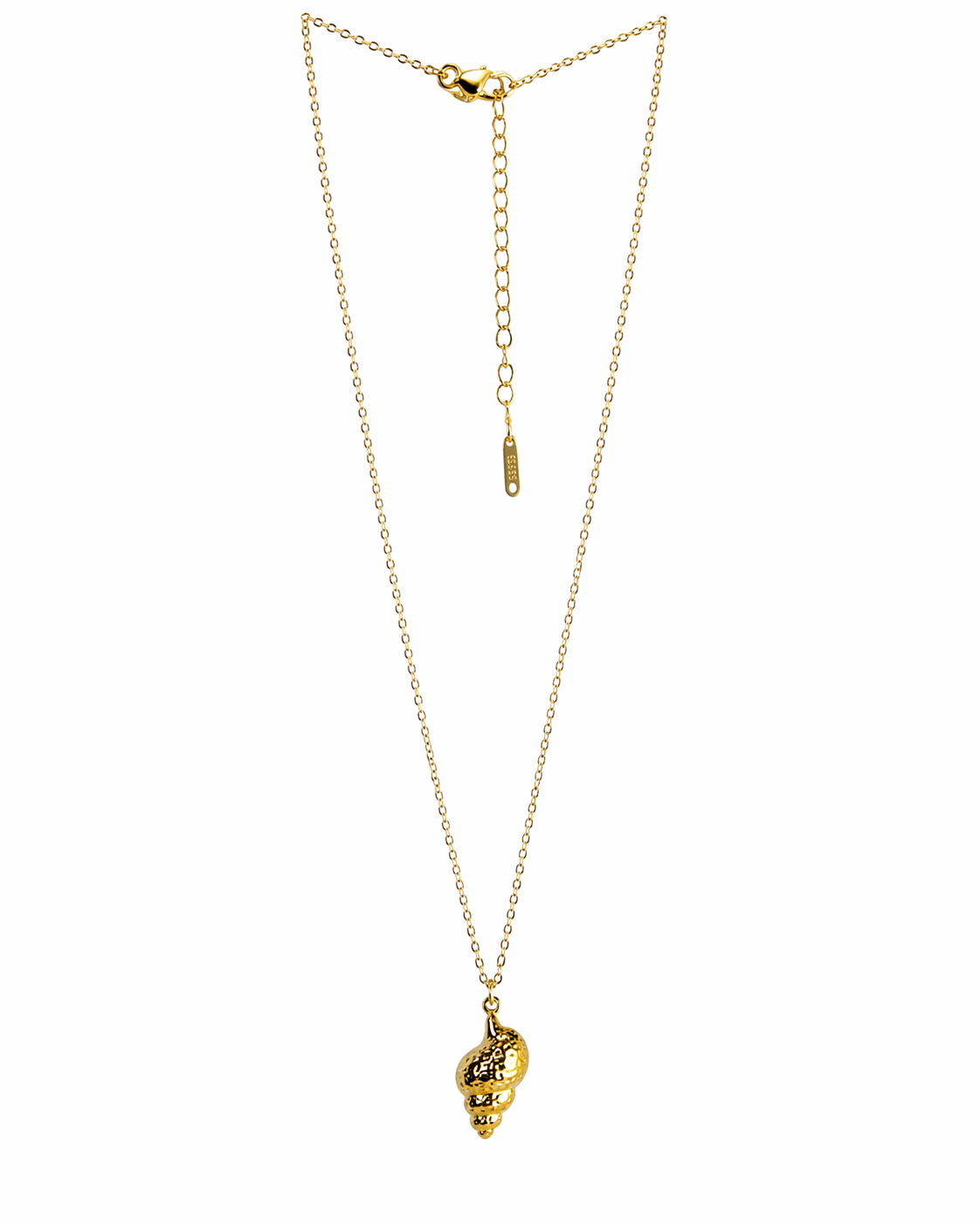 Shell Necklace