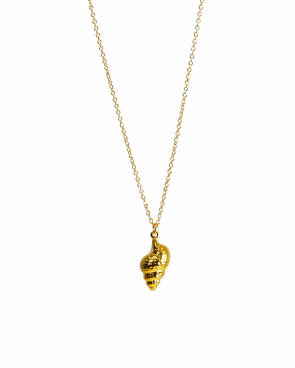 Shell Necklace