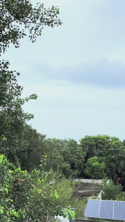 925 Silver Crystal Drop Earrings